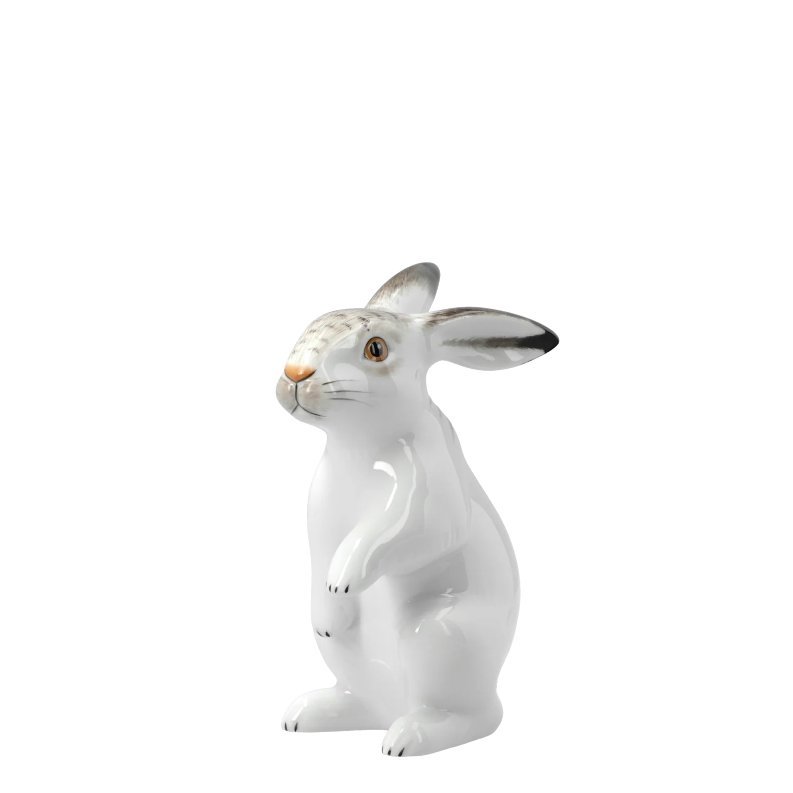 Vorschaubild 5